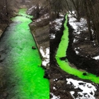 474626790_1136381005162044_2862054772080627326_n