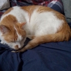 c4951c3dfdf854e324cc891703f1ec9a_0