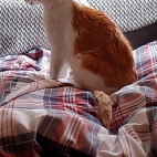 96d4ab93cc79d8dfe7477a15a4e59d3d_0