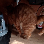 212bdb051a2d0afcb7700d11dcfc1748_0