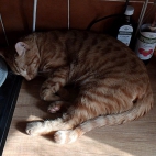 2e2371470e1b8ec5551c670834bf7647_0