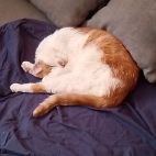 874dd0022e74f644f6d205ae31466a73_0