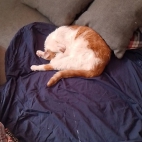 ec1294af330f5b92842546a06224aa36_0