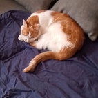 61c6d75e91ad00ebc228d23c78d34990_0