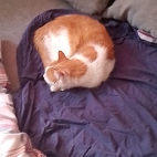 074a0ef3efa0f63b0dbd5da3afb4365f_0