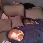 2372b2467a1f456945f216db2b5aa40a_0