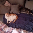 0169f35c7eaa814b99cc02c262e88d18_0