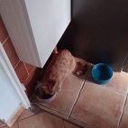 ff92a54b08ec24b0cb1d602462e3d942_0