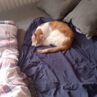 1035a95dfca9eb141544f6ab1a9ac2d4_0