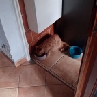 ac8f6aa5cca343eb094e7dd0de0d44af_0