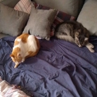 9777bceac3cd42e18eb023ef40d2db1a_0