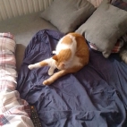 7d4e56cfbfe7a7be46209c2891c5dcbf_0