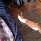 56ba36400cc1033889e3aebe2b8bbe97_0