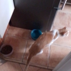 29f61253258803e61fdfb493f9faeaad_0