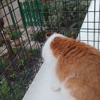 2a1089d661dab0a6c52be146b07b1b00_0