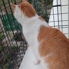 098b2b5aab0d35b78a7d06bc857093fa_0