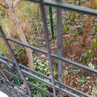 3241d87a1b1280fddff615274c8195a1_0