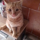 ba126f2eb46ed6f1bb0c2a5b4b59c0c8_0