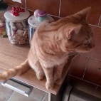 86d14767544bc90e1f1a66b8729140d5_0