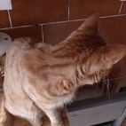 60728ec66bce367f548bb865b576de19_0