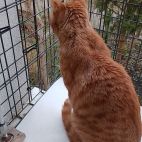 2074f602cc03d4596be6548882a6d62b_0