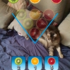 17283bc431bdf148e27745919f31005c_0