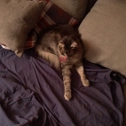 2bddaaad49138267e5920fc679bacd6d_0