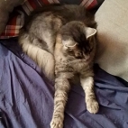 6dbe096b162a53397d441128951dc85b_0