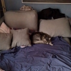 68822f0dc952d49101185a0052114faf_0