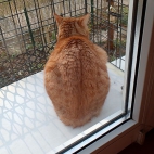 62cfa952d6e7101ed65e6bd300648681_0