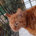 b714429f22c0717738247cf569a4f77d_0