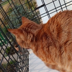 4ad89004f4064f6d93b13394a2c7831a_0