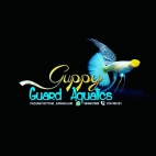 185466452_479485213274185_3584704652020728064_n