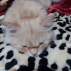 485108101_9824609597551261_877774914515359697_n