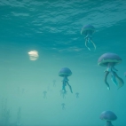 486665482_1105121991655773_3508273641585275799_n