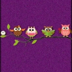 487144672_122223640160176492_765123498655774431_n