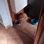 d3e22fd91b9f441474da0b3afa881097_1920