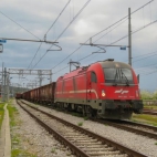 493591085_10236286665934598_1822143970734545507_n