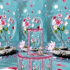 5f1a801cf533c20dcf9fc1dce2a91850_0