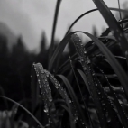 a84606cf690e90acefdab39f123f9701_0