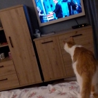 a4845d91d0c954f63db2cc4e11571bab_0