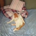 0df64e8d3c08bda7d97a62154c30fdd7_0_070303