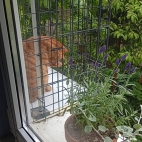 8c2486d36ec9709cf49fc9ecc99fd34e_0_070301