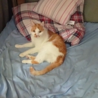 2ff57a7487a6b6b36c5ab31945440304_0_070300