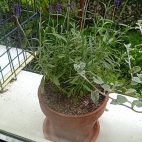 7bde4259a01abad5264eaae7de7c998a_0_070255