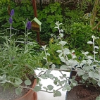 3701b59ecb0513e8dc72b9bc17220826_0_070252