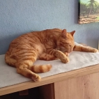 b3718c484c120818424a3fc24c405f0c_0_070250