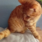 84d6d9ed9bbfbb81bfb949f29dd8524b_0_070246