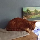 f9015cecedf8d2bc149e648bc54b9c09_0_070243