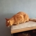 c09612f47bcaf6540ace897b138110d8_0_070242